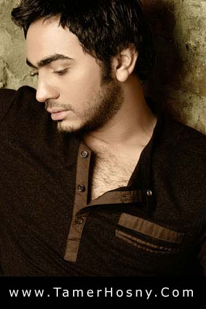 TaMeR hOsSnI