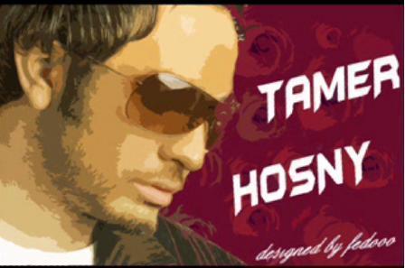 TaMeR